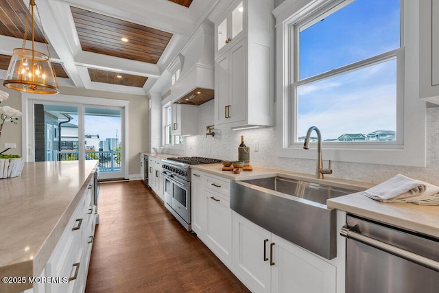 kitchen with a sink, plenty of natural light, stainless steel appliances, and dark wood finished floors