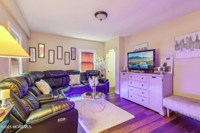 living area featuring wood finished floors