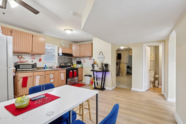 kitchen featuring tasteful backsplash, light wood-style flooring, appliances with stainless steel finishes, range hood, and a sink