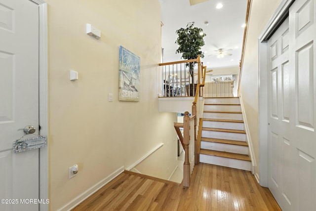 stairway with wood-type flooring