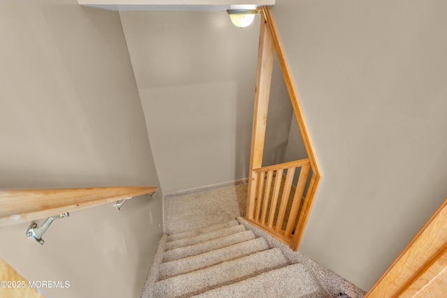 staircase with carpet flooring