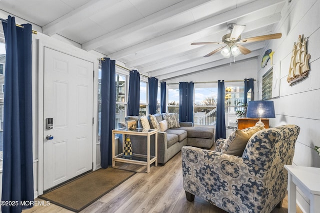 living room with lofted ceiling with beams, ceiling fan, and light wood-type flooring