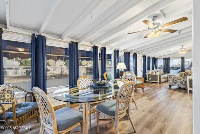 sunroom / solarium with lofted ceiling with beams and ceiling fan