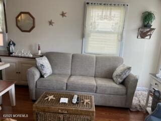 52 Fremont Ave Unit 3, Seaside Heights, NJ 08751 - living room featuring dark wood finished floors