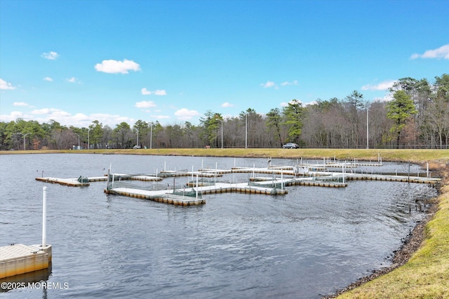 view of dock with a water view