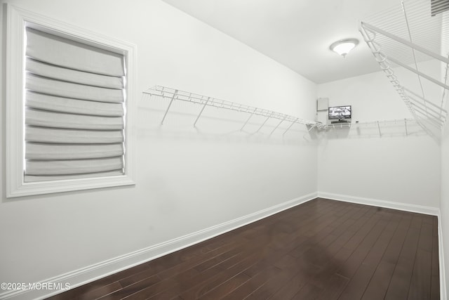 walk in closet with wood-type flooring