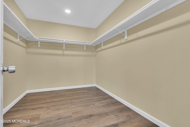 walk in closet featuring hardwood / wood-style flooring