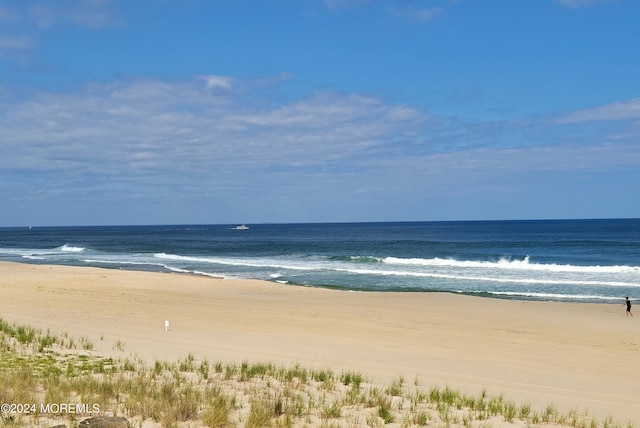 water view with a view of the beach