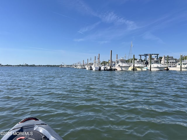 dock area with a water view