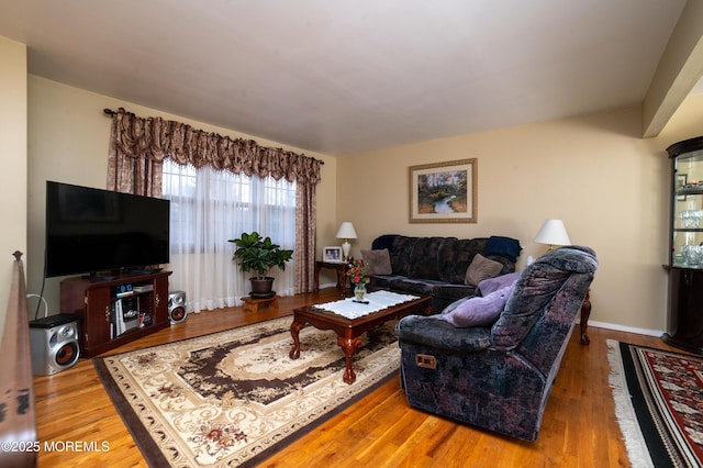 living room with wood-type flooring