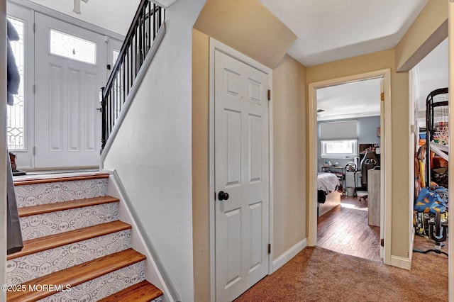 stairway with carpet flooring