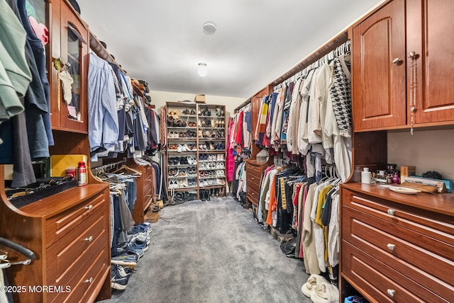 walk in closet with carpet