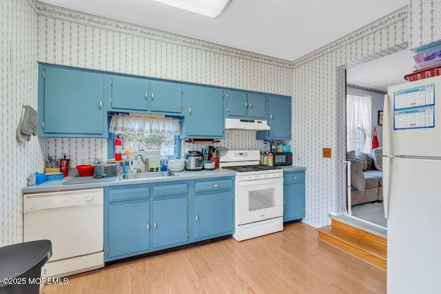 kitchen featuring sink, white appliances, blue cabinetry, and light wood-type flooring