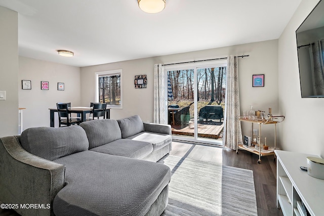 living area with dark wood-style flooring