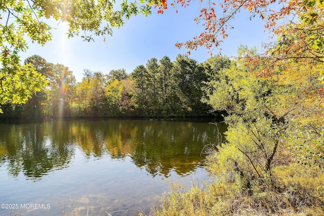 property view of water featuring a wooded view