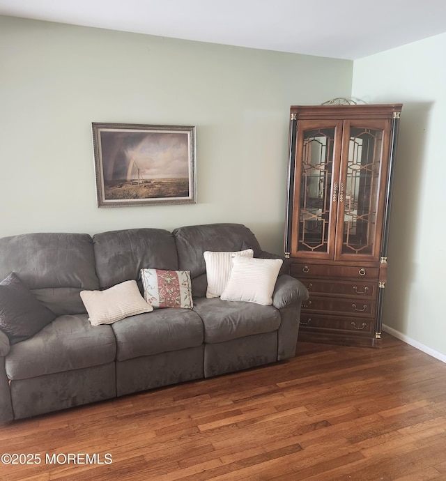 living room with hardwood / wood-style flooring