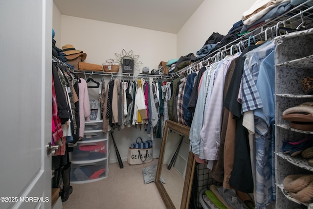 spacious closet with carpet floors