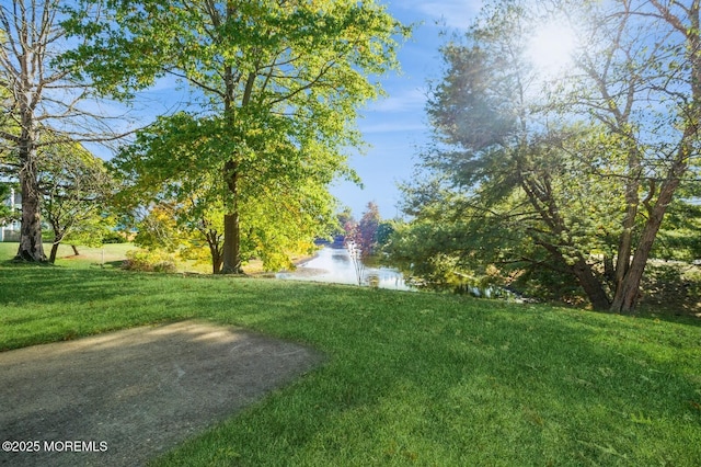 view of yard featuring a water view