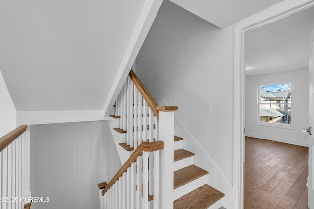 stairway with hardwood / wood-style flooring