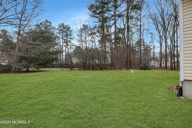 657 Toms River Rd, Jackson, NJ 08527 - view of yard