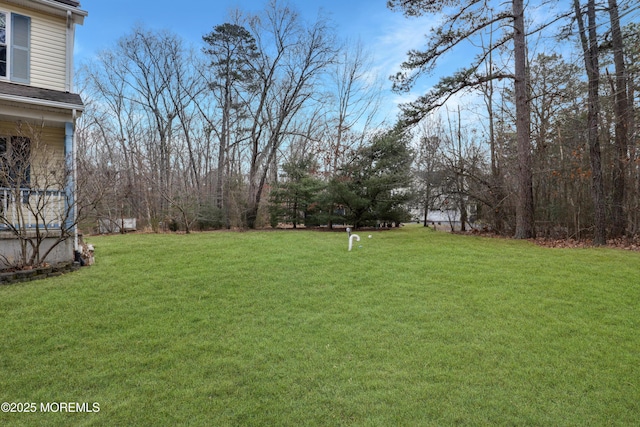 657 Toms River Rd, Jackson, NJ 08527 - view of yard