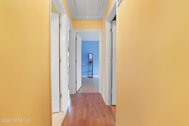 657 Toms River Rd, Jackson, NJ 08527 - corridor with baseboards, attic access, and light wood-type flooring