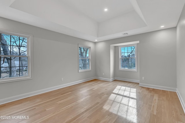 spare room with a raised ceiling, a wealth of natural light, and light hardwood / wood-style flooring