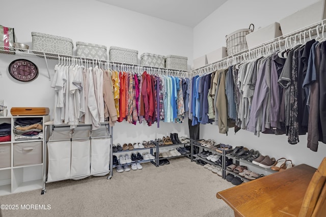 spacious closet with carpet floors