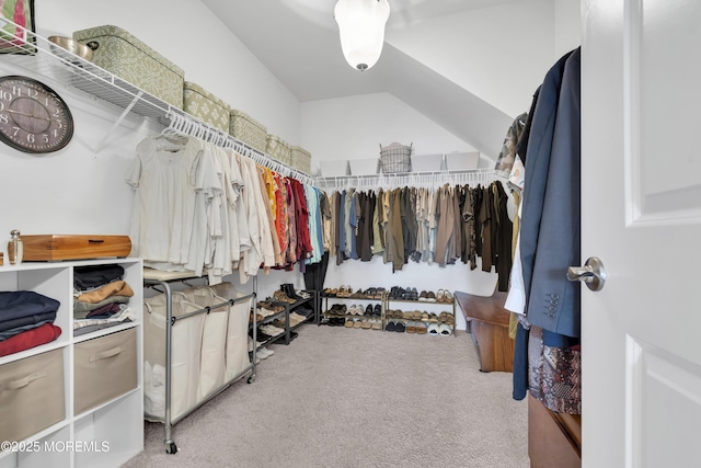 walk in closet with lofted ceiling and carpet floors