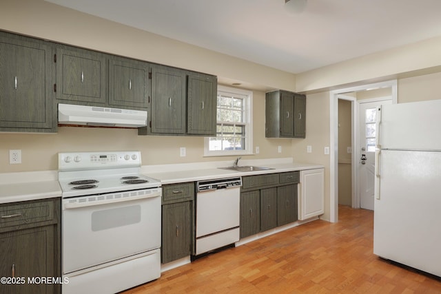 kitchen with sink, white appliances, and light hardwood / wood-style flooring