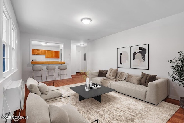 living room with light hardwood / wood-style flooring