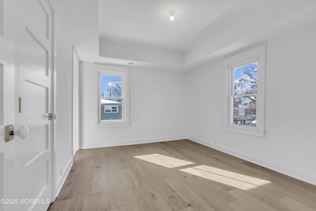 empty room with a tray ceiling, light hardwood / wood-style flooring, and a wealth of natural light