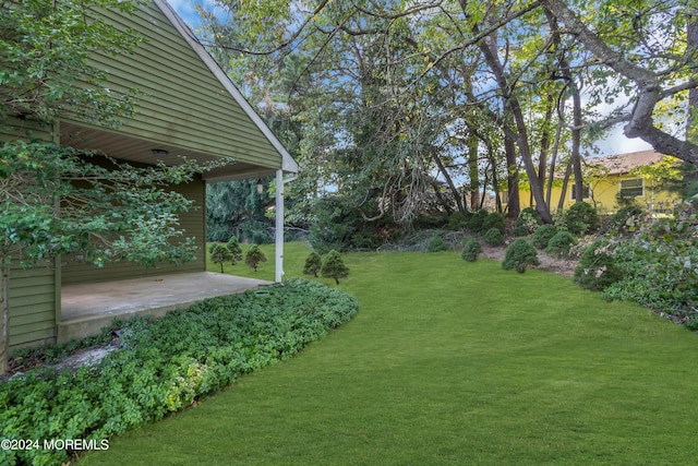 view of yard featuring a patio area