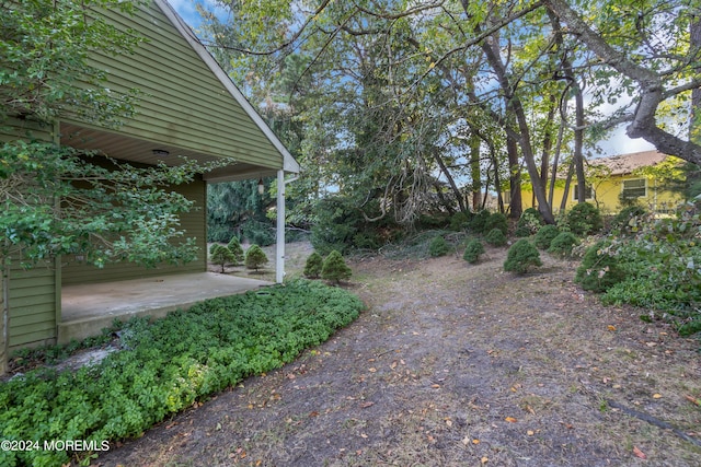 view of yard featuring a patio area