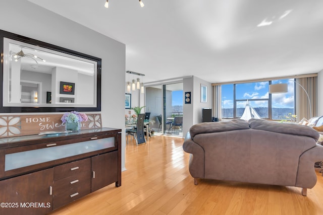 living area with a wall of windows and light wood-style floors