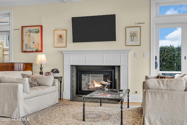 living area with a fireplace with flush hearth, baseboards, and wood finished floors