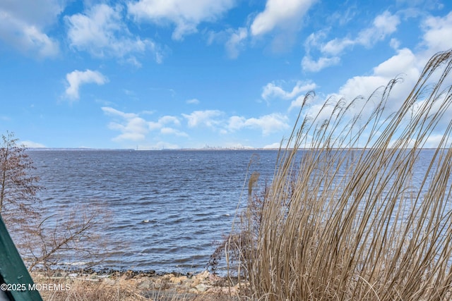 view of water feature