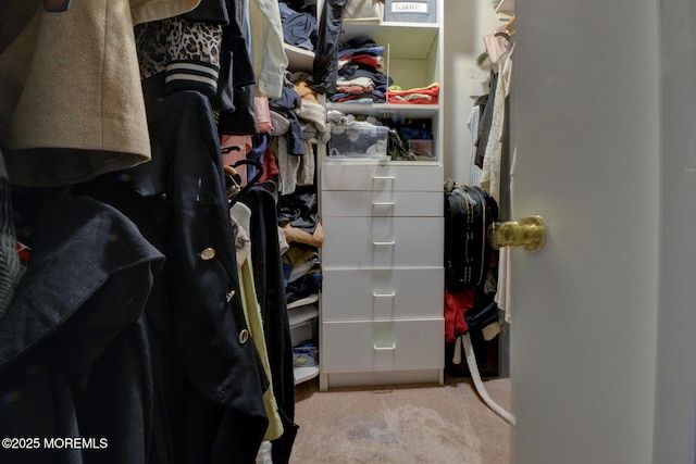 spacious closet with light colored carpet