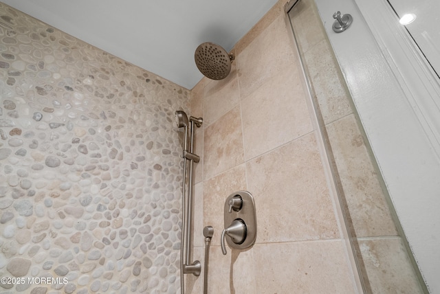 details with tiled shower