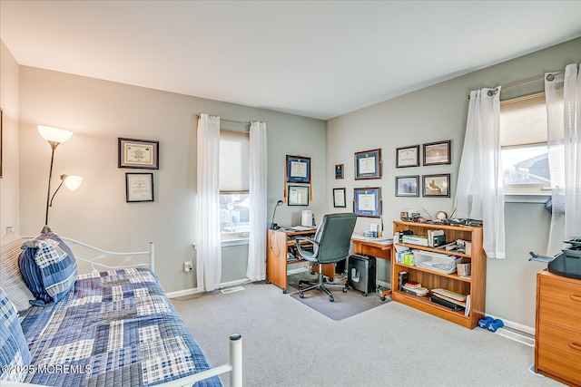 carpeted bedroom with multiple windows