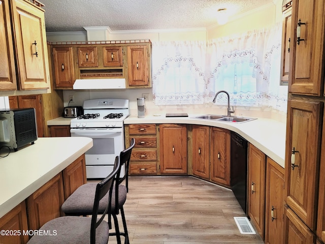 kitchen with sink, light hardwood / wood-style flooring, gas range gas stove, dishwasher, and a textured ceiling