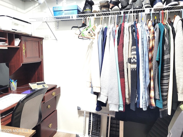 spacious closet featuring light hardwood / wood-style flooring