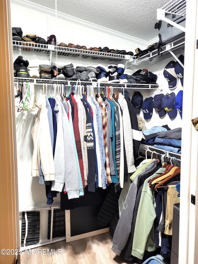 walk in closet with wood-type flooring