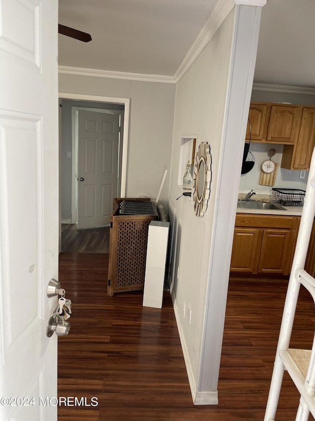 hallway with dark hardwood / wood-style flooring, sink, and crown molding