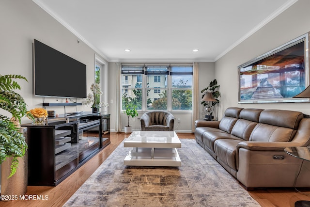 living room with crown molding and hardwood / wood-style floors