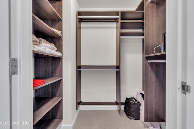 walk in closet with carpet flooring