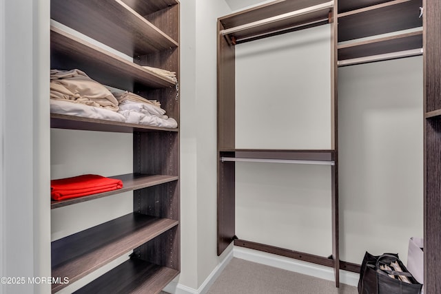 walk in closet featuring light colored carpet