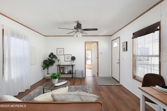 living room featuring ceiling fan, crown molding, and wood finished floors