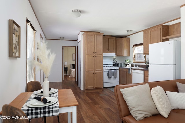 kitchen with white appliances, dark wood finished floors, and under cabinet range hood