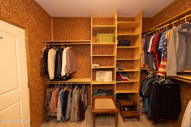 walk in closet featuring hardwood / wood-style floors